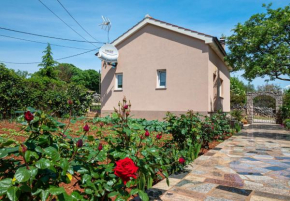 Holiday house Lucy, Žgaljići